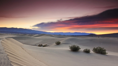 desert sand dunes at twilight - clouds, twilight, desert, sand, dunes, bushes