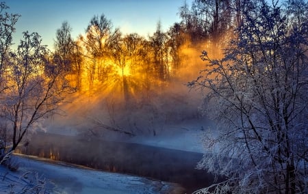 Winter Sun - trees, winter, snowy, splendor, snow, winter sun, river, winter splendor, winter time, nature, sun, sky