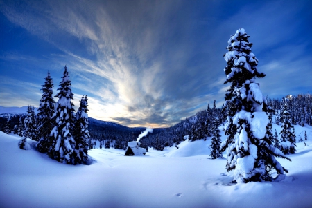 Winter - clouds, trees, winter, snowy, splendor, snow, landscape, winter splendor, sunset, winter time, nature, mountains, sky