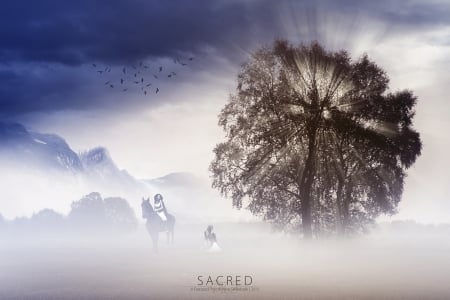 Sacred - tree, mountains, misty, fog