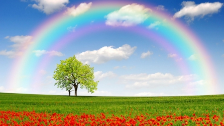 Rainbow Day - rainbow, summer, colours, pretty