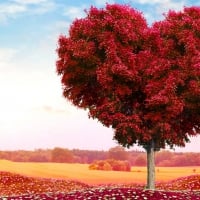 Tree Of Love