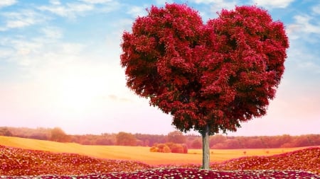 Tree Of Love - spring, trees, love, nature