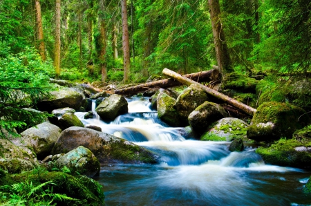 Forest stream - trees, stream, greenery, summer, shore, creek, nature, woods, forest, beautiful, stones