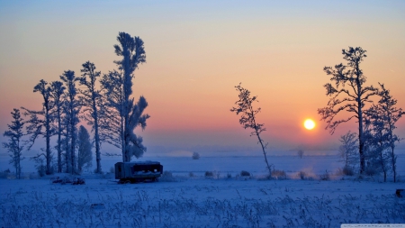 Wonderful winter morning - morning, landscape, sunlight, sun, light, winter, field, wallpaper, sunset, hd, nature, dawn, snow, sunrise, scene