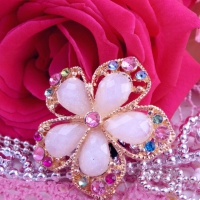 Brooch and rose