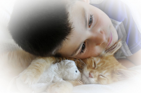 Boy, cat and toy - hat, pretty, cat face, beautiful, beauty, lovely, paws, sweet, cat, kitten, cute, cats, face, sleeping, animals, kitty