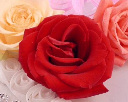 Beautiful red rose - flowers, red, petals, rose