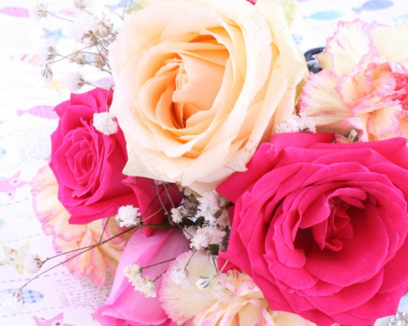 Beautiful roses - flowers, roses, petals, bloom