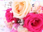 Beautiful roses