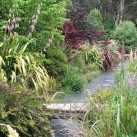 Bridge stream garden