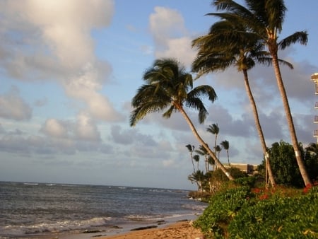 Maui, Havaii - beaches, ocean