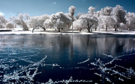 blue lake - white, lake, trees, photography, blue, color