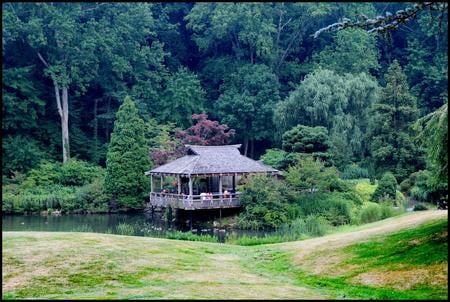 Garden Hut - hut, lawn, trees, garden, pond