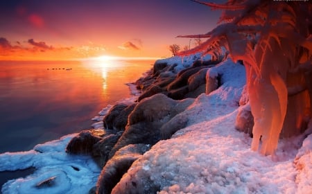 Winter Sunset - water, coast, cliff, sea, rocks, sun, sky