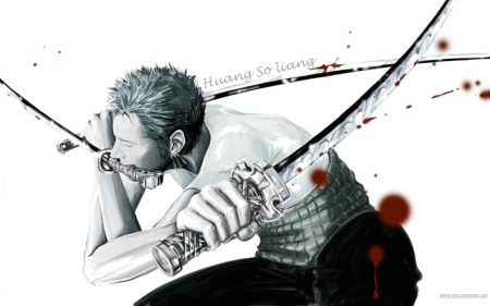 Roronoa Zoro - one piece, pirate hunter, haki, swordsman, three sword style, roronoa zoro, haki user, straw hat member, anime, pirate, haramaki, manga