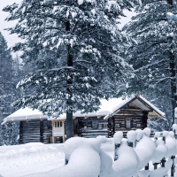 log house in winter