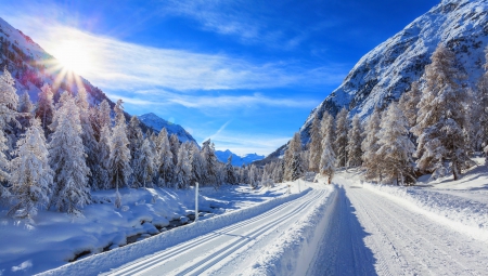 Winter - landscape, sun, winter, road, nature, winter time, snow, splendor, winter splendor, sunrays, winter sun, snowy