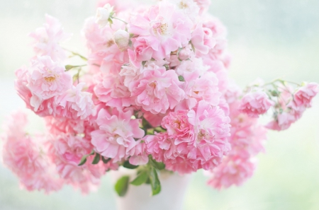 â™¥â™¥â™¥ - flowers, bouquet, flower, nature