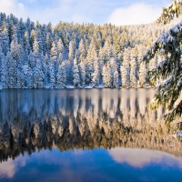 Winter lake