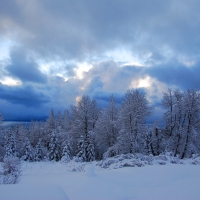 Winter in Alaska