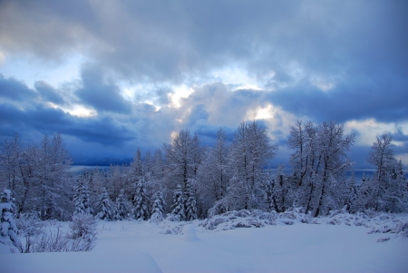 Winter in Alaska - covered, trees, winter, Alaska, beautiful, snowy, snow, landscape, slope, lovely, north, ice, frozen, frost, sky