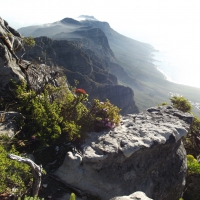 View from Table Mountain