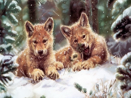 Two Brothers - wolves, young, brothers, snow