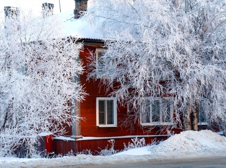 In snowy lace - nice, branches, trees, peaceful, winter, lovely, road, villa, cold, frost, snow, beautiful, lace, house, frozen, snowy