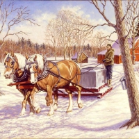 Country Winter