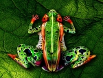 Body painting ~ The frog