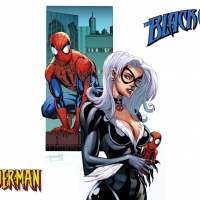 Black Cat And Spiderman