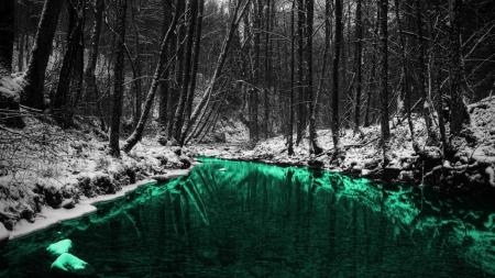 Emerald Lake for LADY_EMERALD! - lake, forest, nature, emerald