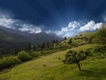 green hillside under beautiful abstract sky