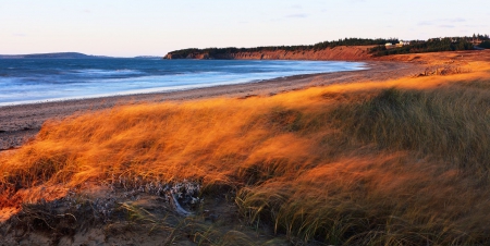 wonderful grass covered seacoast - sea, grass, coast, autumn