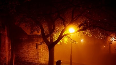 street lamp by a brick wall at night - brick, lamp, night, light, tree, wall