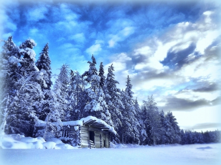 ★Barn Sunrise in Winter★ - clouds, winter, attractions in dreams, photography, snow, sunrise, morning, holidays, xmas and new year, cool, nature, barn, landscapes, white trees, love four seasons, sky