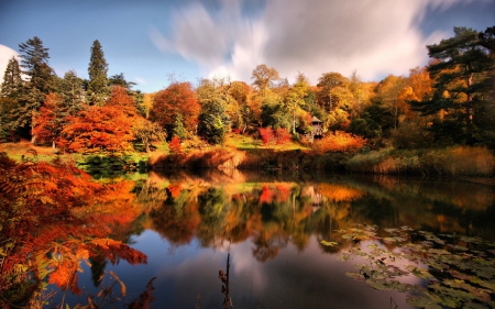 BEAUTIFUL AUTUMN COLORS