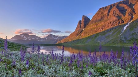 fantastic flowering landscape - flowers, landscape, sunshine, lake, mountain