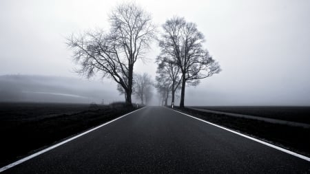 blacktop in black and white - road, black and white, fog, fields, trees, blacktop