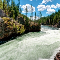 Wyoming River, Yellowstone National Park, Wyoming