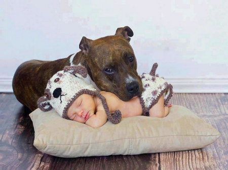 Secure - sleeping, baby, dog, child, pet