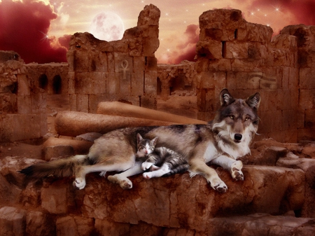 Relax in Ruins - wolf, ruins, cat, relax