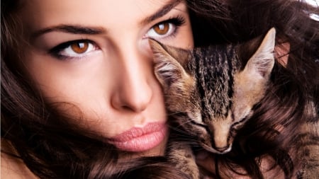 brown hair eyes cat - Cool eyes, sexy lipz, brow hair, cute kitty