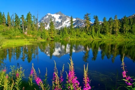 Snowy mountain peak - sky, freshness, trees, greenery, clear, mirrored, spring, rocks, calm, quiet, reflection, snowy, cliffs, lake, landscape, north cascades, shore, serenity, blue, beautiful, flowers