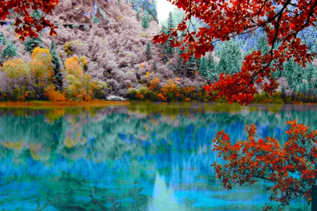 LAKE VIEW - nature, autumn, lake, reflection, winter, cyan