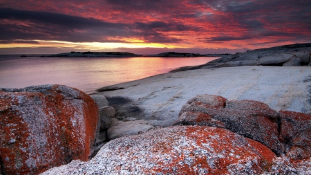 red sky and red algae over a rocky shore - red, sunset, shore, sea, algae