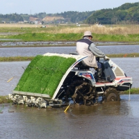 Rice Planting Machine