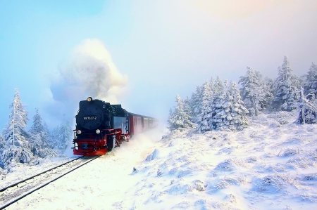 Winter - train, trees, winter, winter time, nature, splendor, landscape, snow