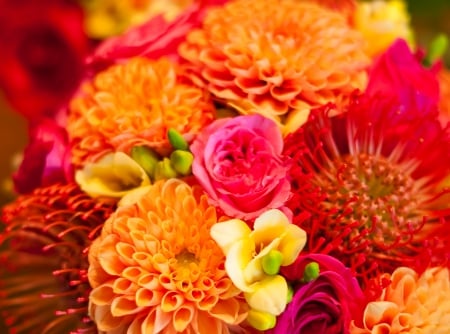 Dahlias - wedding bouquets, dahlia, bouquet, wedding bouquet, nature, fuchsia, orange, flowers, dahlias, flower